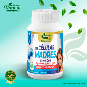 células madres – stem cell – calidad premium