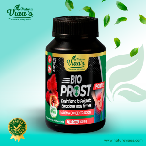 riñón & riñon – calidad premium (copia)