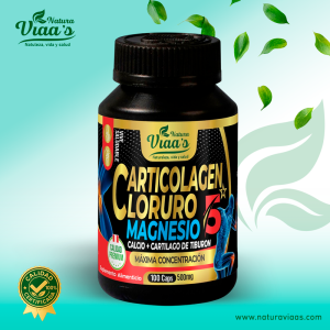 glucosamina + condroitina (copia)