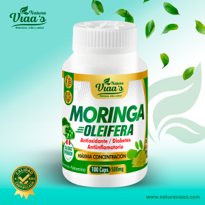 Moringa Oleifera – Máxima Concentración