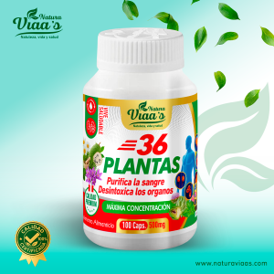 36 Plantas Natura Viaa's - Máxima Concentración - Purificador y Desintoxicante